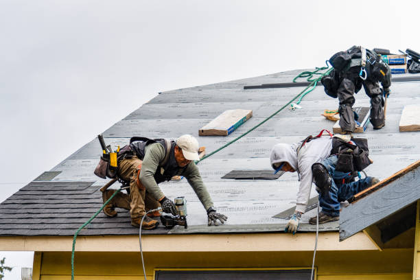 Professional Gutter Installation technician working in Mulberry, AR